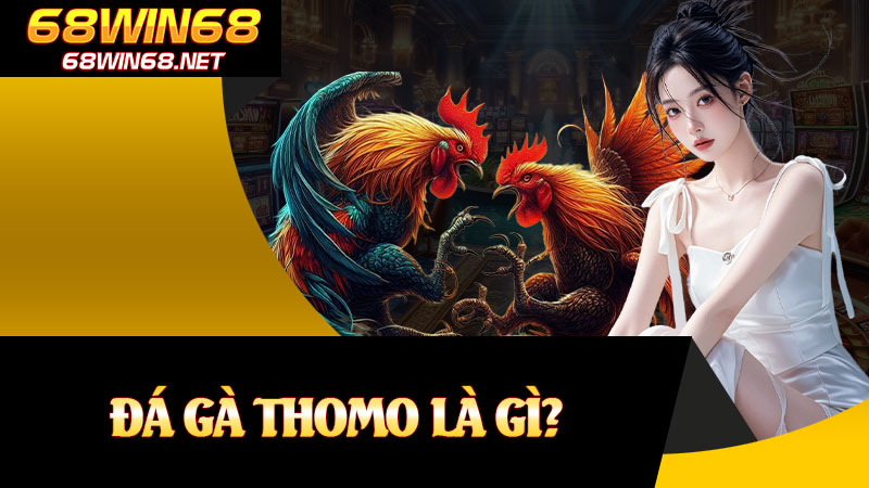 Đá Gà Thomo Là Gì?