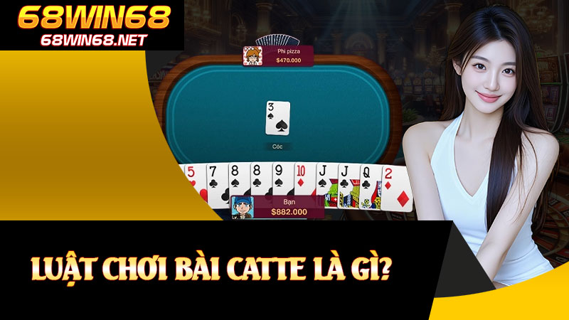 Luật Chơi Bài Catte Là Gì?