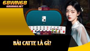 Bài Catte Là Gì?