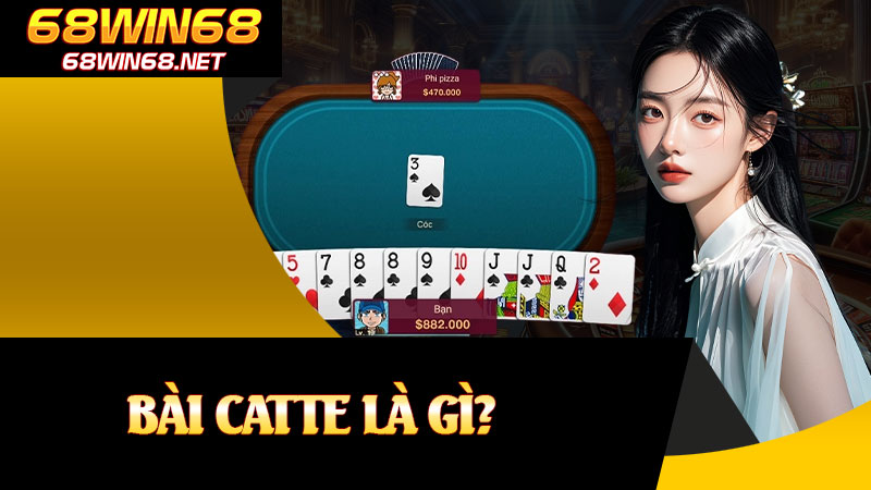 Bài Catte Là Gì?