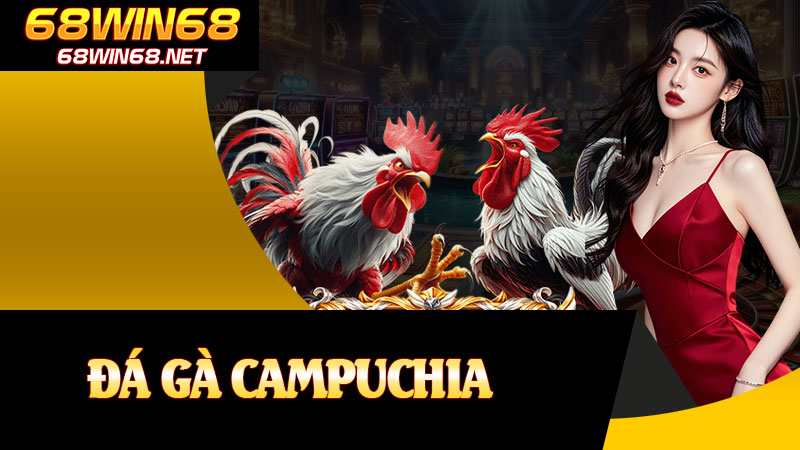 Đá Gà Campuchia